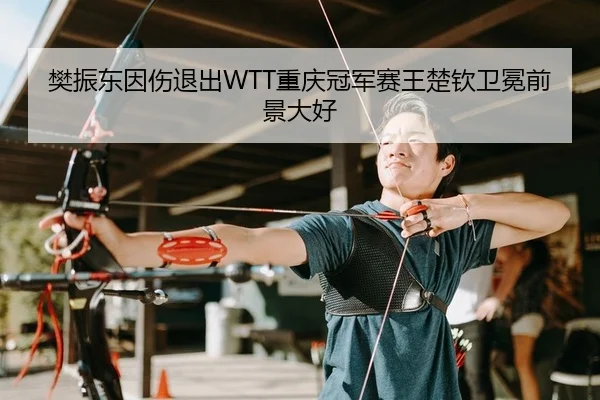 樊振东因伤退出WTT重庆冠军赛王楚钦卫冕前景大好